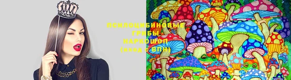трава Абинск