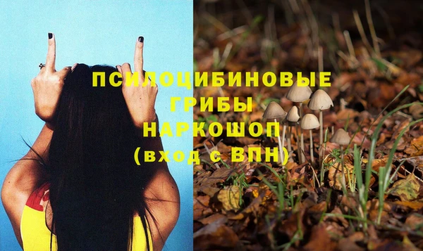 ПСИЛОЦИБИНОВЫЕ ГРИБЫ Абаза