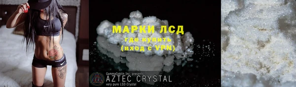 ПСИЛОЦИБИНОВЫЕ ГРИБЫ Абаза