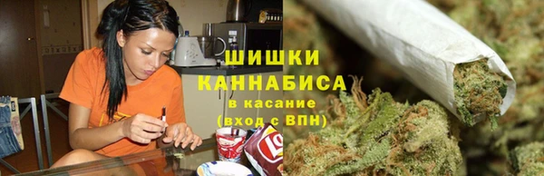 ПСИЛОЦИБИНОВЫЕ ГРИБЫ Абаза